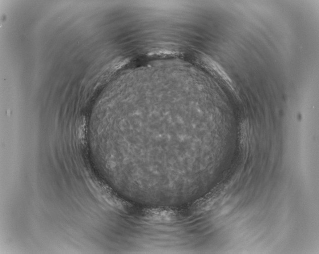 X0000086920073200705071338