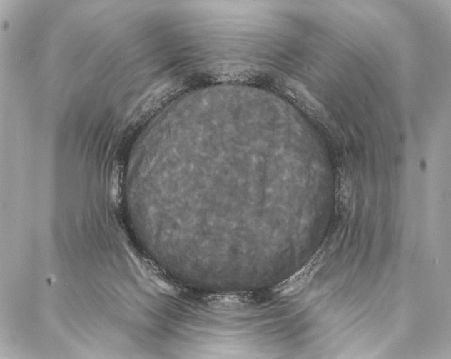 X0000086920074200705071338