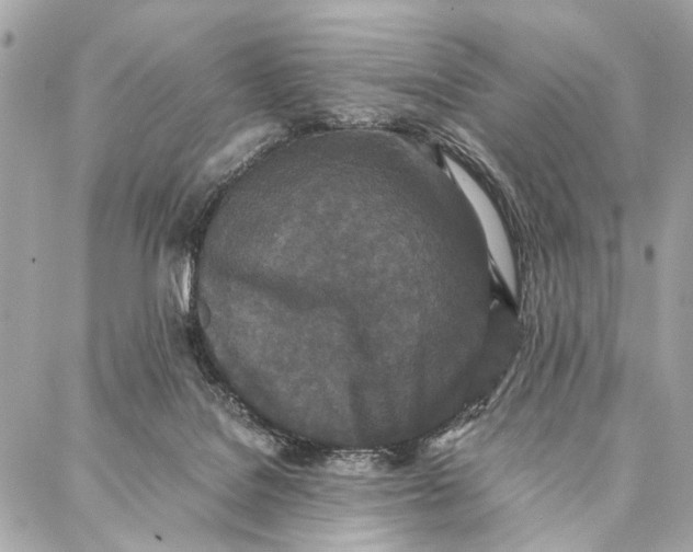 X0000086920076200705071338