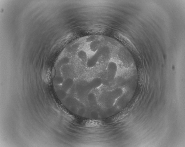 X0000086920077200705071338