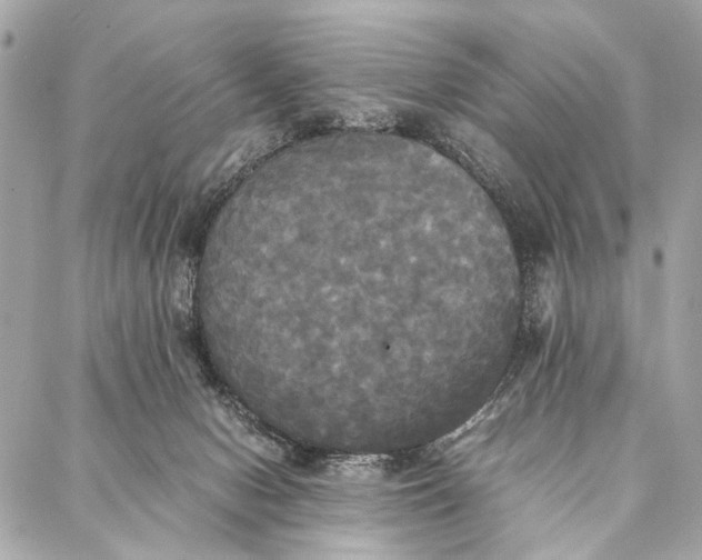 X0000086920078200705071338