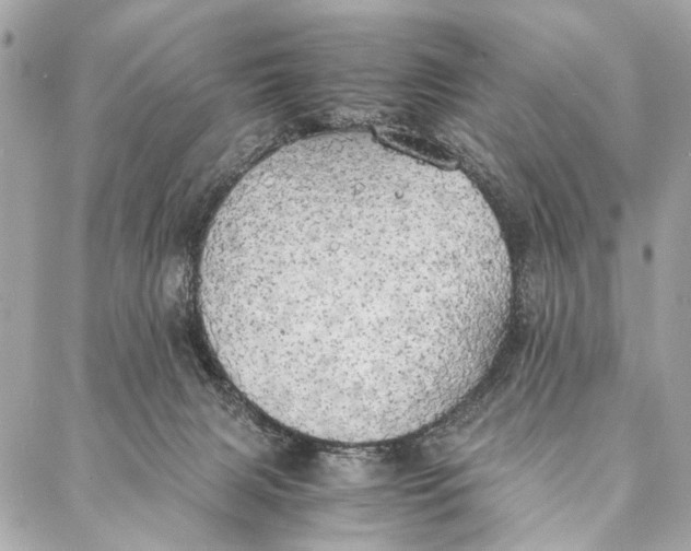 X0000086920079200705071338