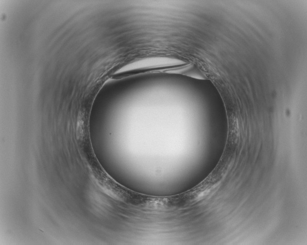 X0000086920080200705071338