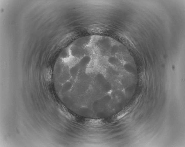 X0000086920081200705071339