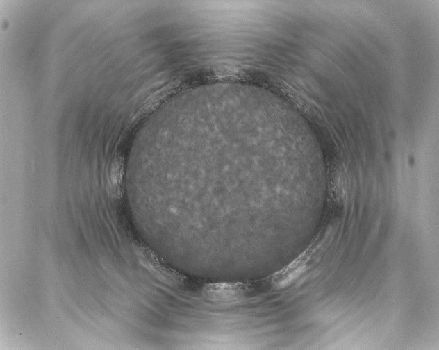 X0000086920082200705071339