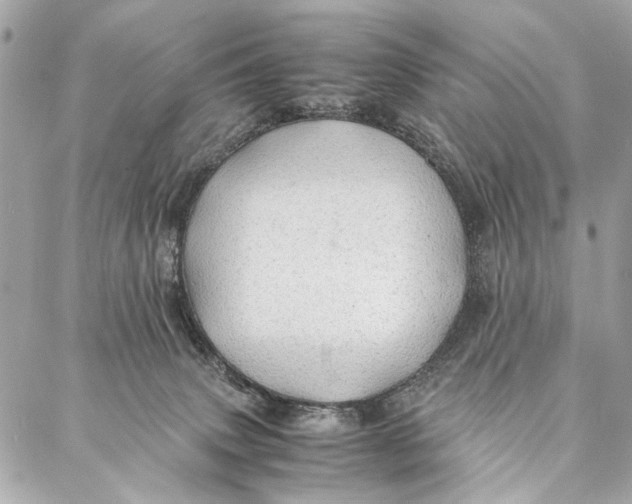 X0000086920083200705071339