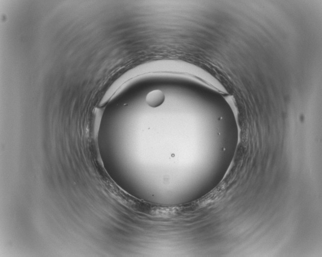 X0000086920084200705071339