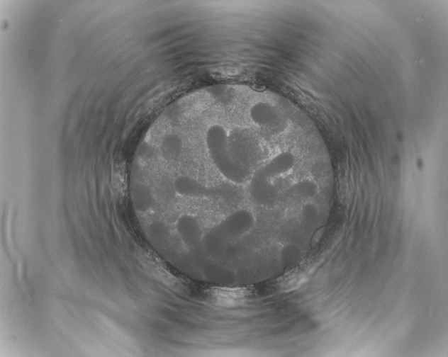 X0000086920085200705071339