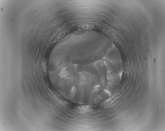 X0000086920086200705071339