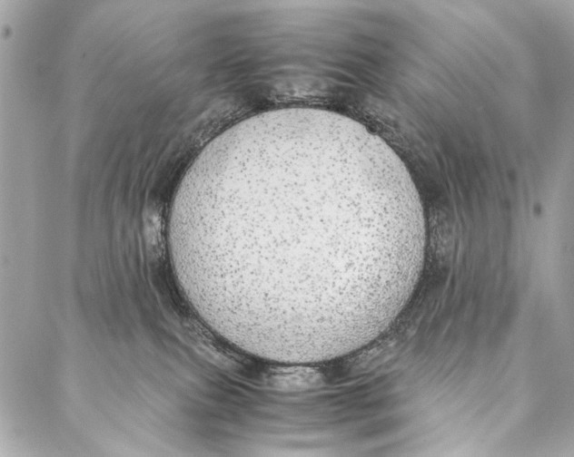 X0000086920087200705071339