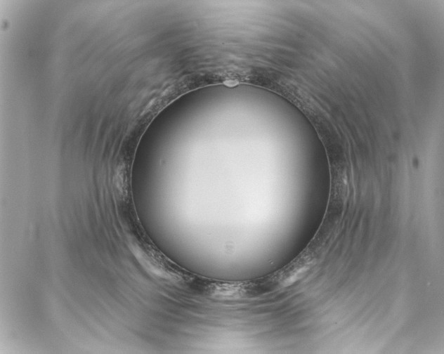 X0000086920088200705071339