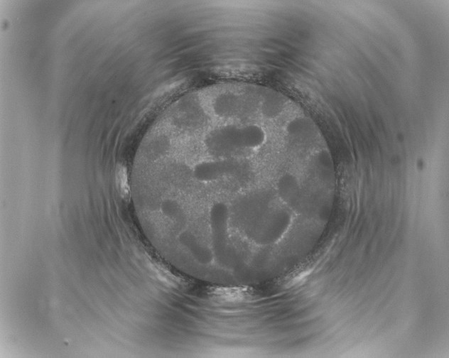 X0000086920089200705071339