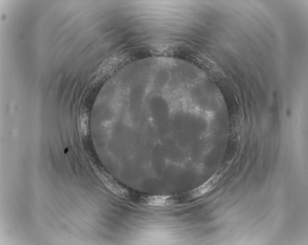 X0000086920090200705071339