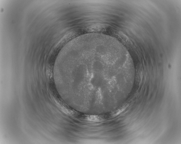 X0000086920091200705071339