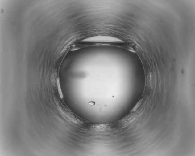 X0000086920092200705071339