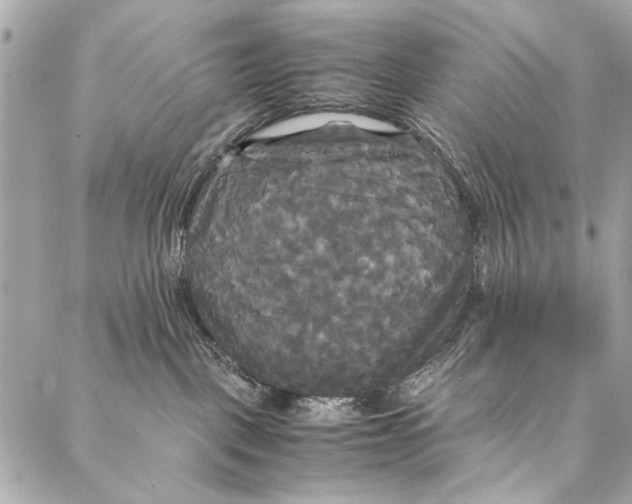 X0000086920093200705071339