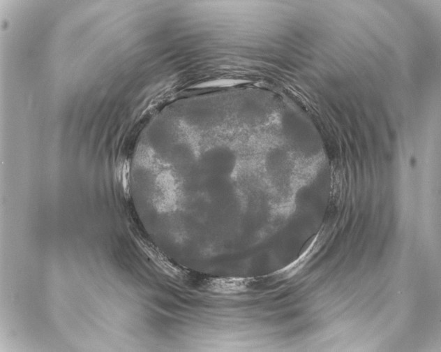 X0000086920094200705071339