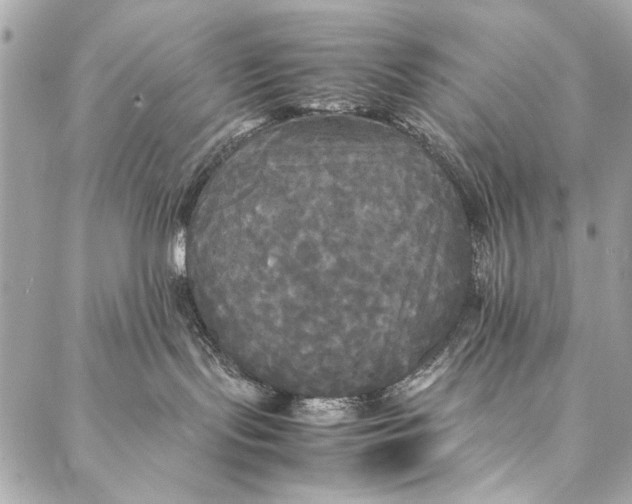 X0000086920095200705071339