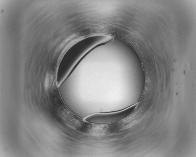 X0000086920096200705071339