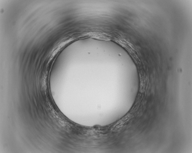 X0000086920098200705071338