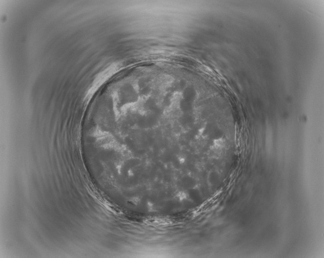 X0000086920099200705071338