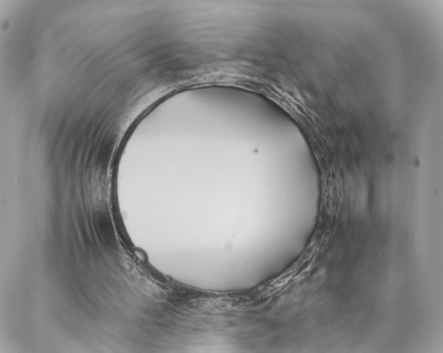 X0000086920100200705071338