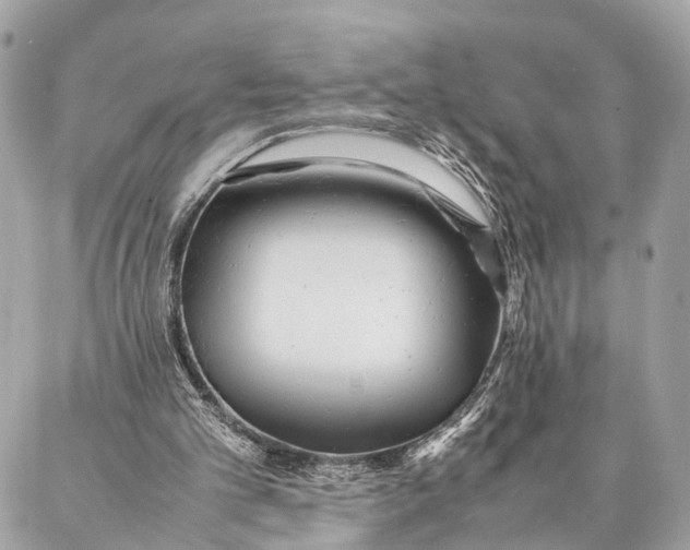 X0000086920101200705071338