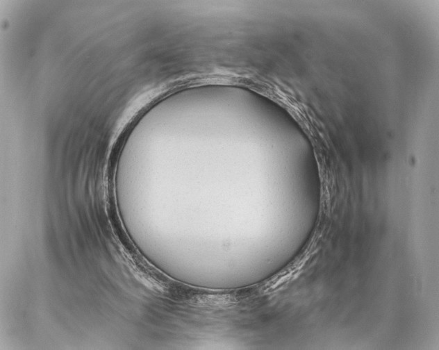 X0000086920102200705071338