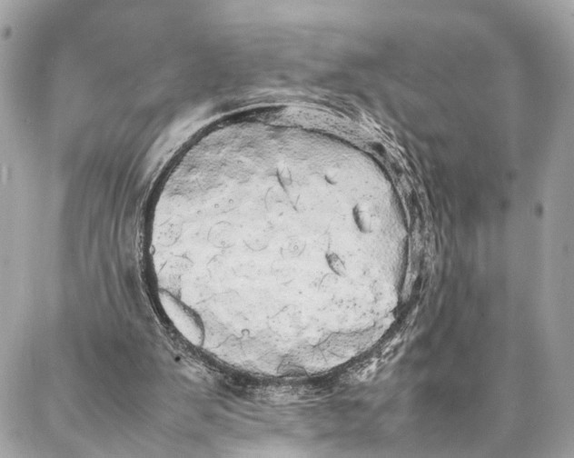 X0000086920103200705071338