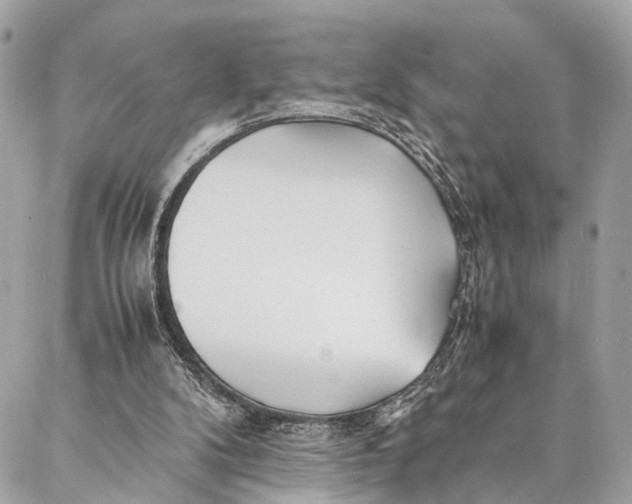 X0000086920104200705071338