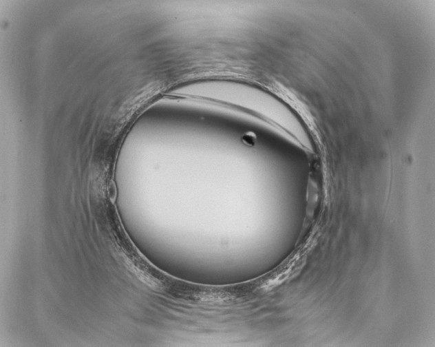 X0000086920105200705071338