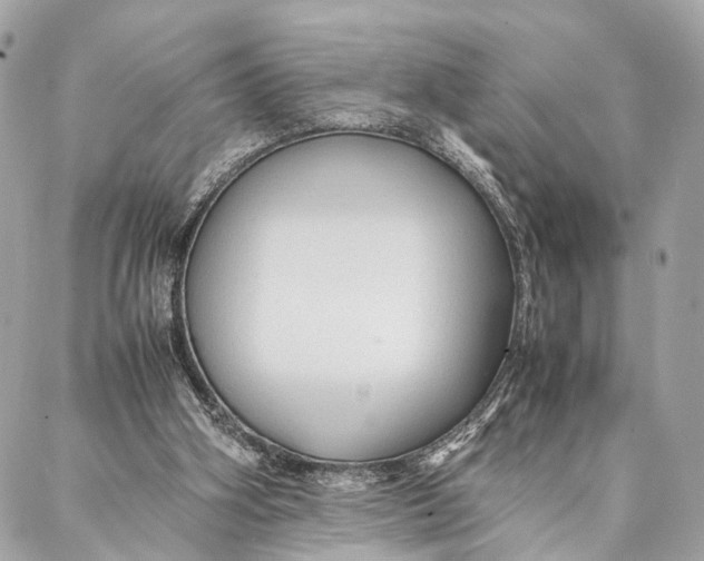 X0000086920106200705071338