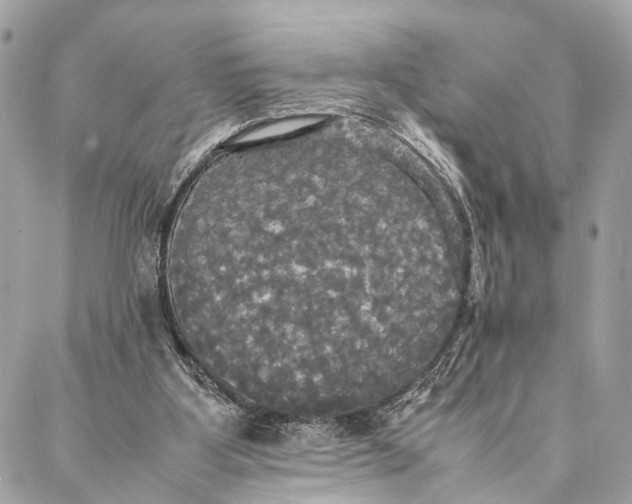 X0000086920107200705071338