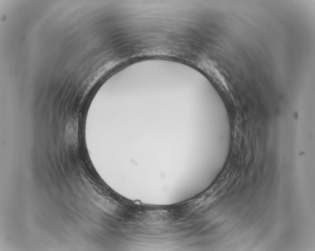 X0000086920108200705071338