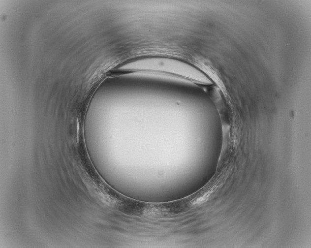 X0000086920109200705071338