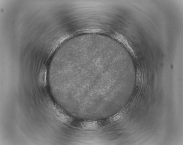 X0000086920110200705071338