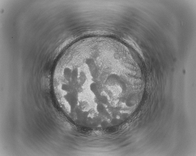 X0000086920111200705071338