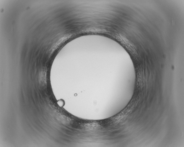 X0000086920112200705071338