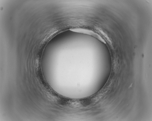 X0000086920113200705071338