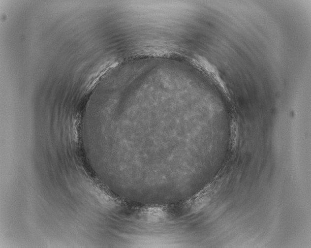 X0000086920114200705071338