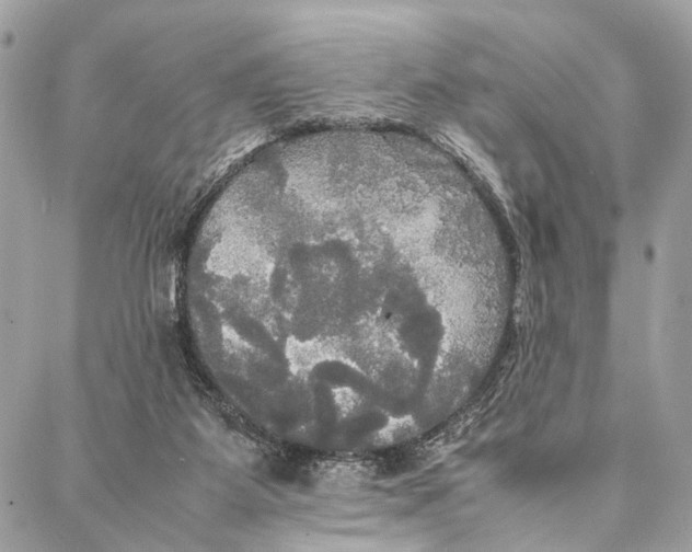 X0000086920115200705071338