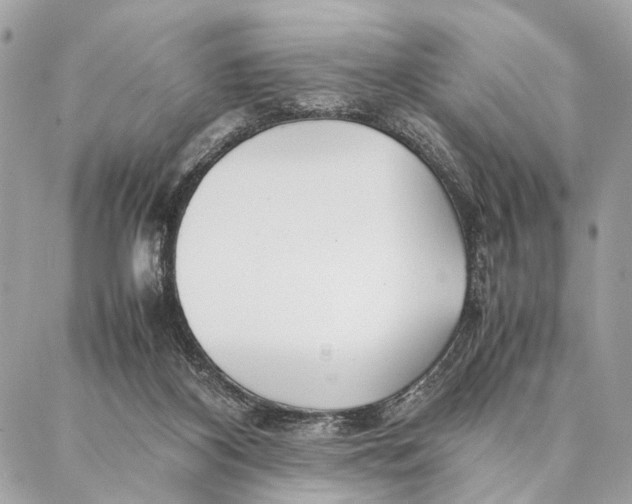 X0000086920116200705071338