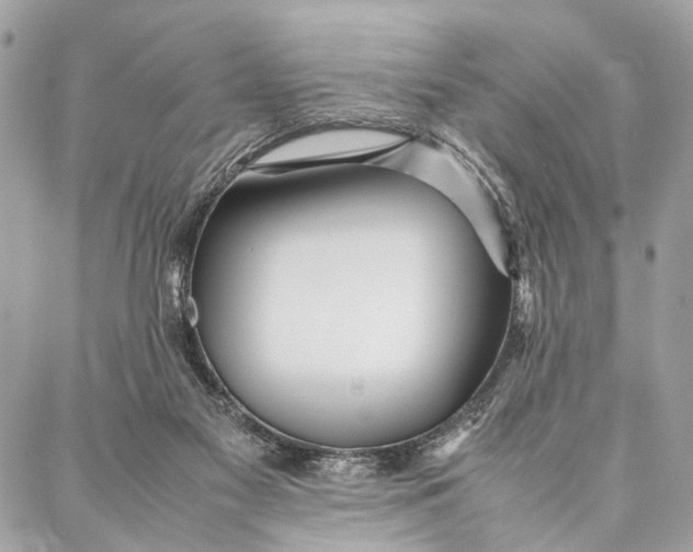 X0000086920117200705071338