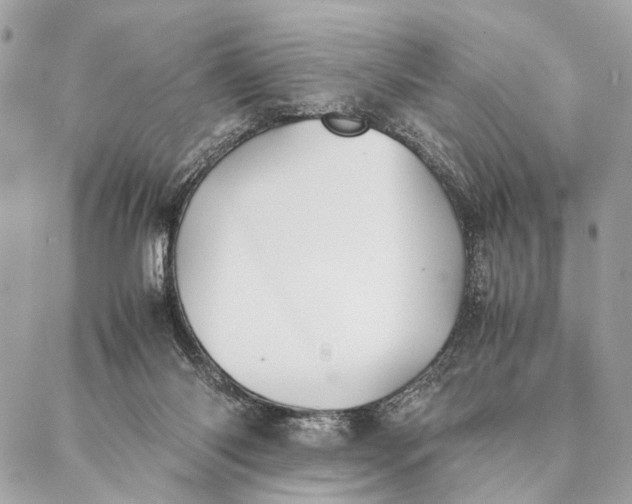 X0000086920118200705071338