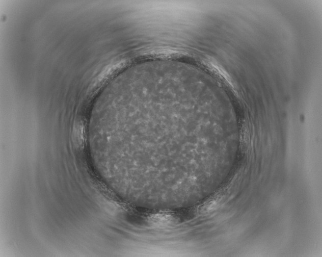 X0000086920119200705071338