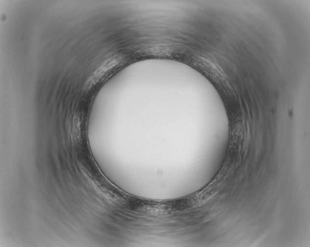 X0000086920120200705071338