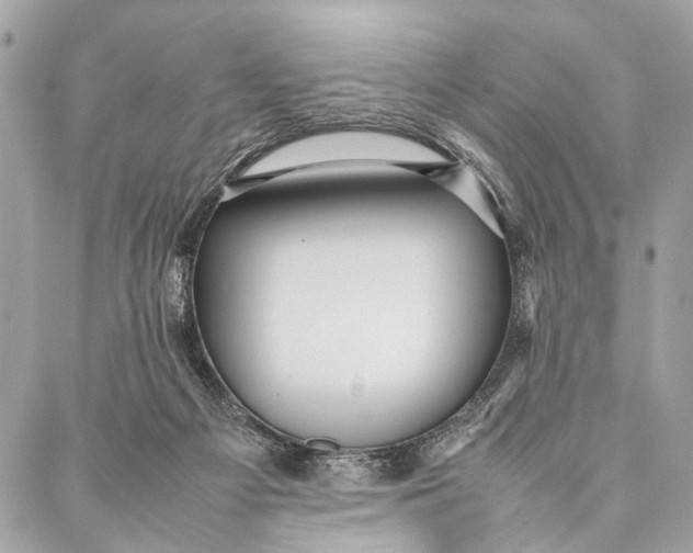 X0000086920121200705071338