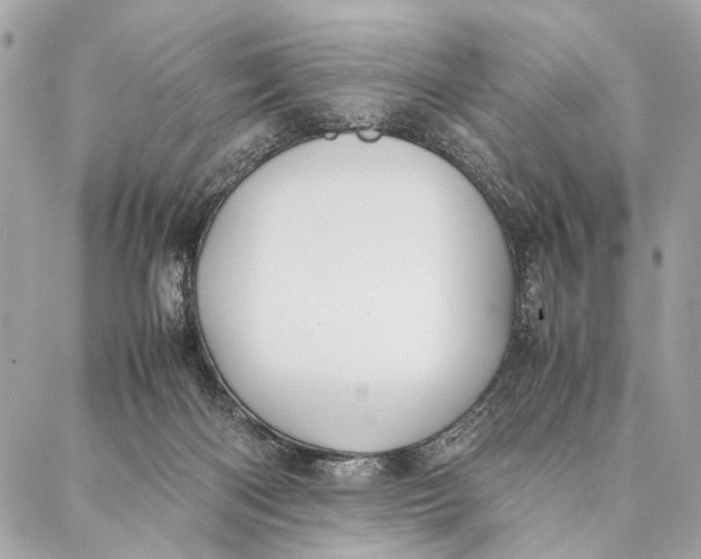 X0000086920122200705071338