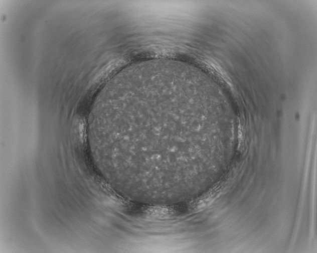 X0000086920123200705071338