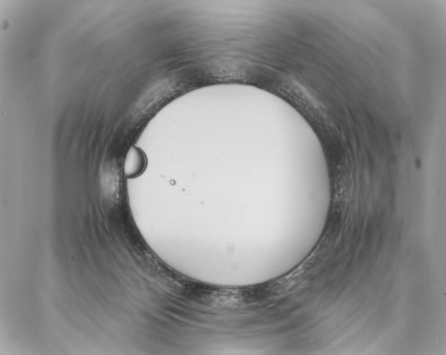 X0000086920124200705071338